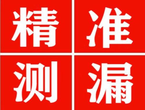 衡东尚嘉漏水精准查找